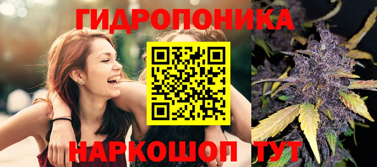 Бошки марихуана сатива  Вход с VPN  Щёлково  МАРИХУАНА MAZAR 